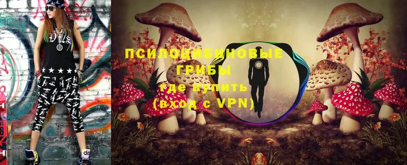 Псилоцибиновые грибы Psilocybe  Верхотурье 